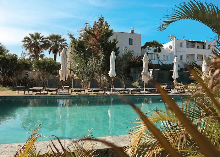Bodrum Ada Turgutreis Muğla
