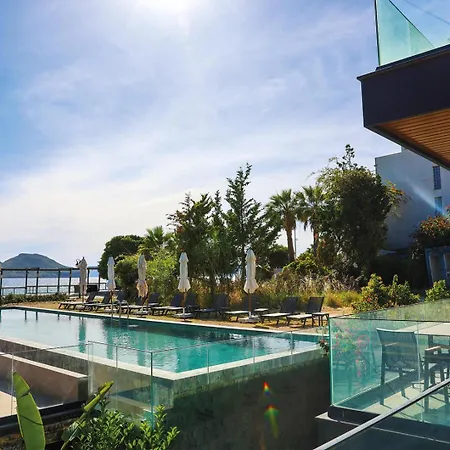 فندق Bodrum Ada Turgutreis *