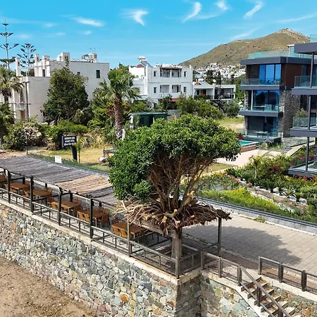 فندق Bodrum Ada Turgutreis موجلا