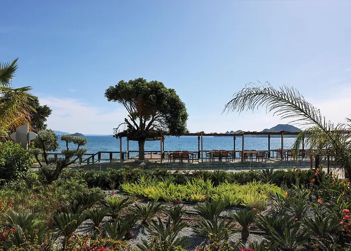 Bodrum Ada Turgutreis